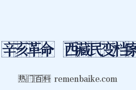 辛亥革命·西藏民变档案是什么意思的图片